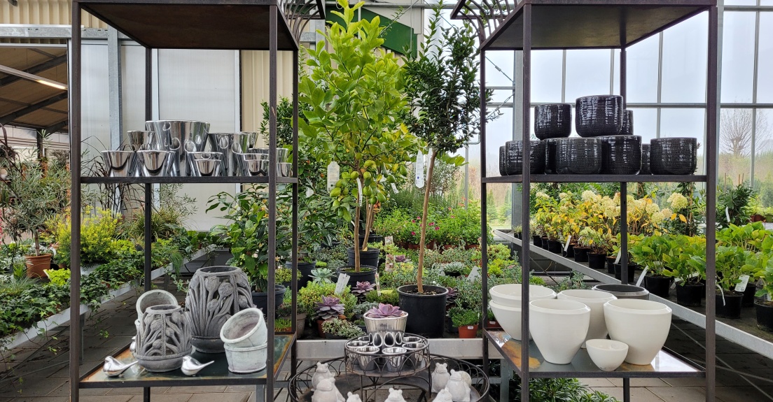 Pflanzgefäße, Betonwindlicht, silber, grau, weiß, Terrassenregal, Dekotisch, Betonfrösche